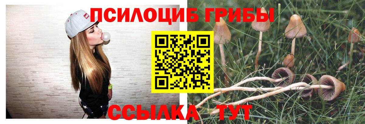 Алексеевка  Псилоцибиновые грибы прущие грибы  Вход с VPN 